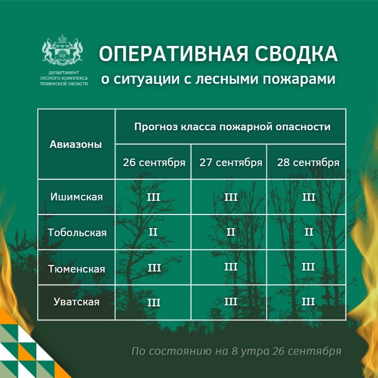 Тюмень затянуло смогом от лесных пожаров, в воздухе превышено содержание диоксида азота 1 Тюмень затянуло смогом от лесных пожаров, в воздухе превышено содержание диоксида азота 1