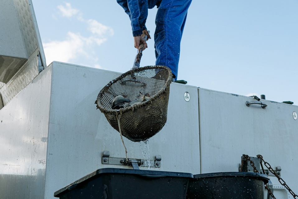 Константин Струков рассказал коллегам об экологии на фабрике «Курасан». Фото 4 Константин Струков рассказал коллегам об экологии на фабрике «Курасан». Фото 4