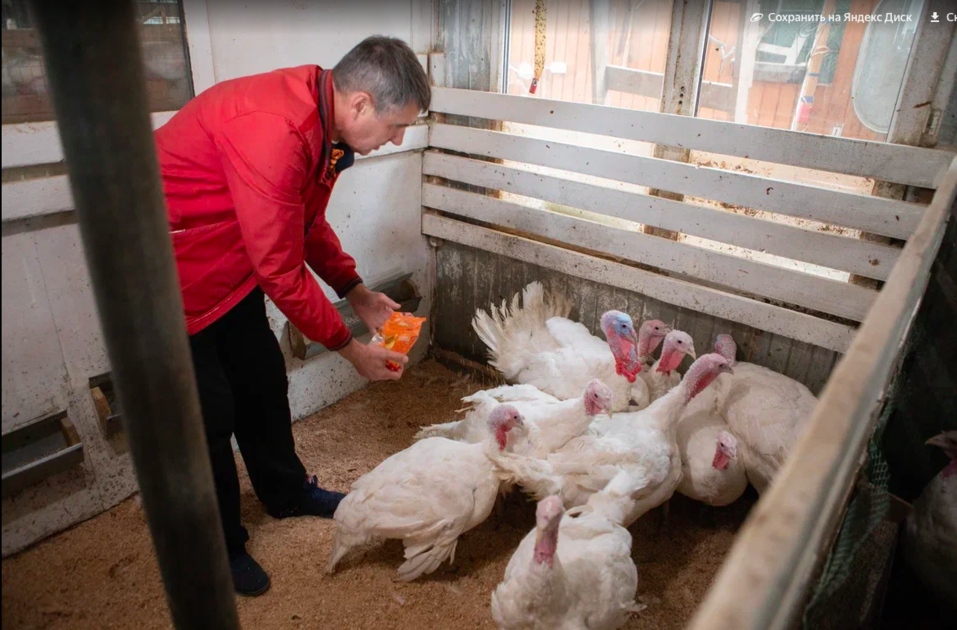 Как уральские фермеры сотрудничают с ритейлом. Кейс «Пятёрочки» 3 Как уральские фермеры сотрудничают с ритейлом. Кейс «Пятёрочки» 3