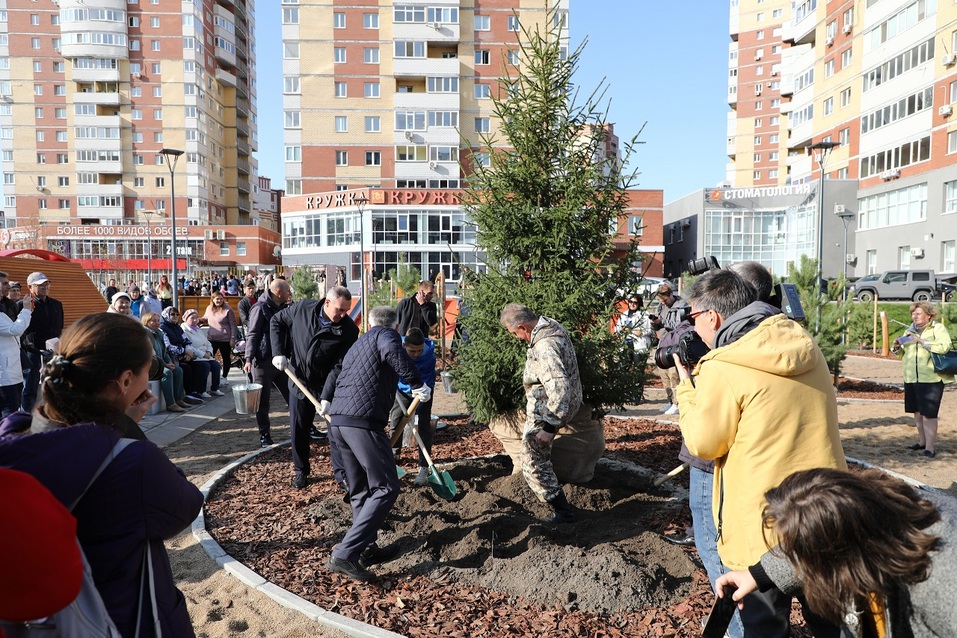 Галька с Урала, елка из Перми: в Тюмени открыли сквер за 100 млн рублей 7 Галька с Урала, елка из Перми: в Тюмени открыли сквер за 100 млн рублей 7