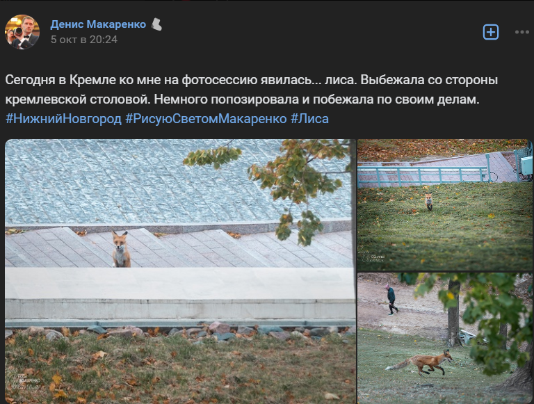 Фото: Денис Макаренко Фото: Денис Макаренко