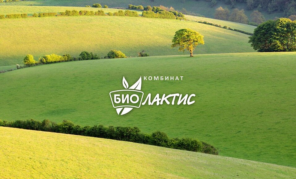 Пётр Дятчин, ГК «Продхолдинг»: Давайте построим комбинат за 2,5 млрд слаженно 2 Пётр Дятчин, ГК «Продхолдинг»: Давайте построим комбинат за 2,5 млрд слаженно 2