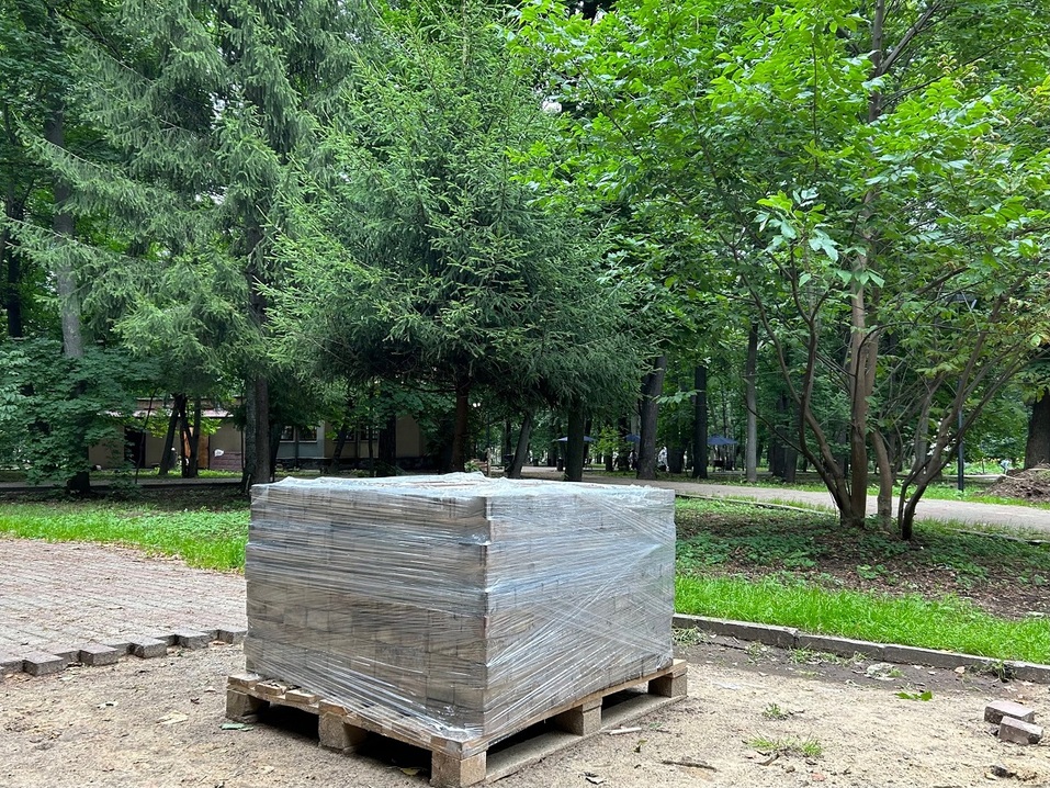 Фото: Александра Прусакова Фото: Александра Прусакова