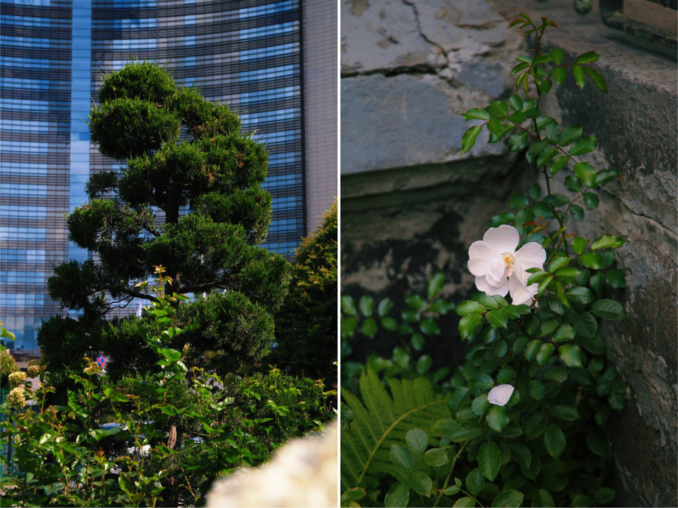 «Как жемчужина в раковине». История деревянного дома в границах «Екатеринбург-Сити» 11 «Как жемчужина в раковине». История деревянного дома в границах «Екатеринбург-Сити» 11