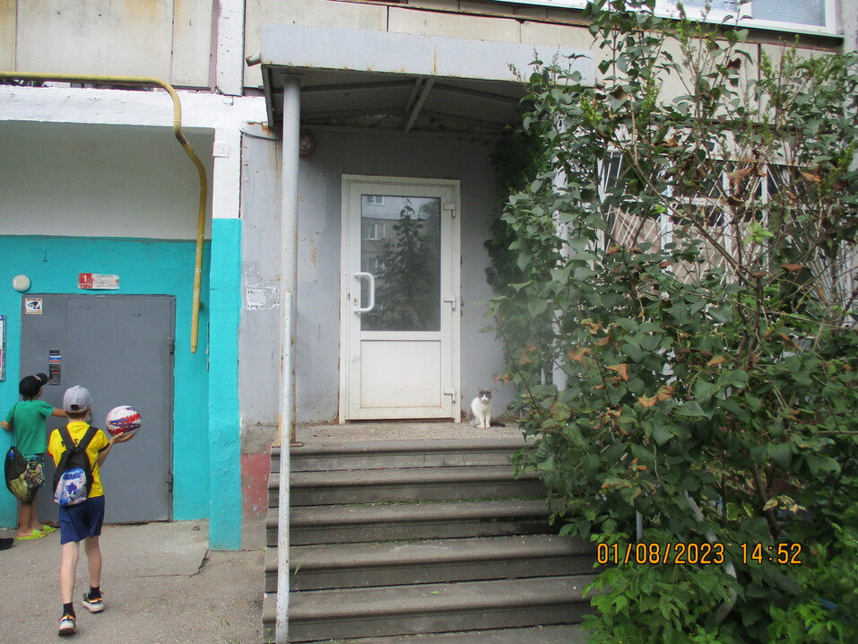 Муниципальное имущество Нижнего Новгорода, выставленное на торги прав аренды в декабре 4 Муниципальное имущество Нижнего Новгорода, выставленное на торги прав аренды в декабре 4