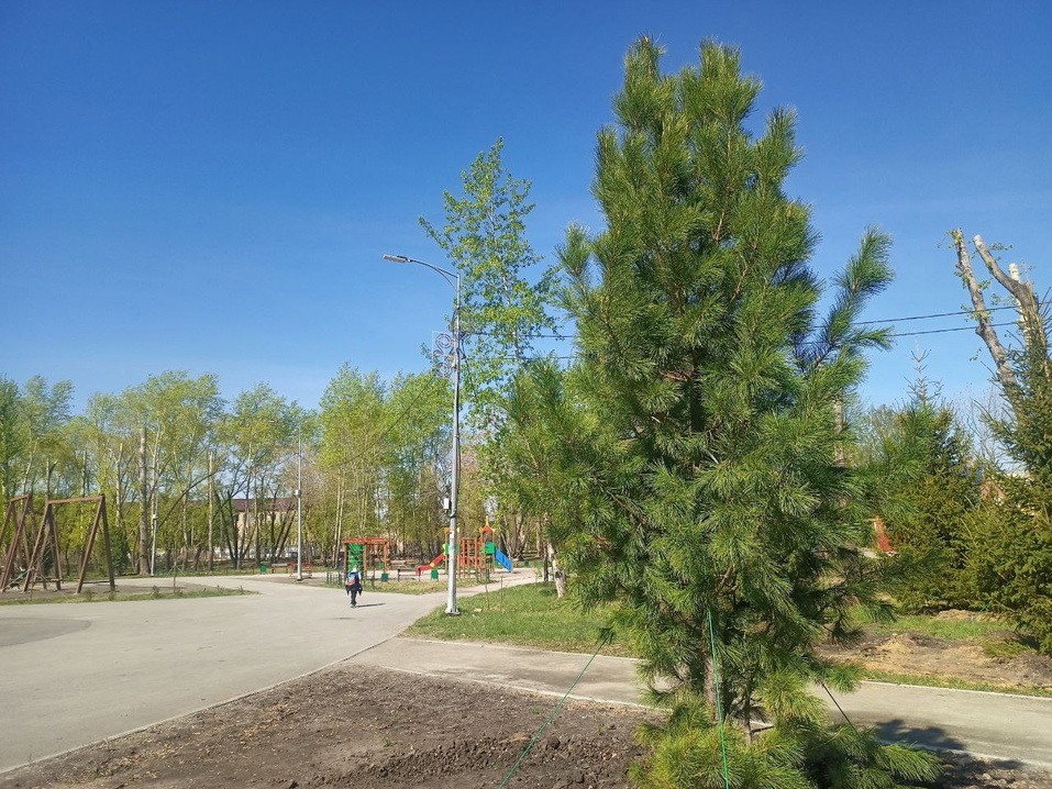 Человек года Валерий Гартунг: «Создаём кластер высокотехнологичной продукции» 2 Человек года Валерий Гартунг: «Создаём кластер высокотехнологичной продукции» 2