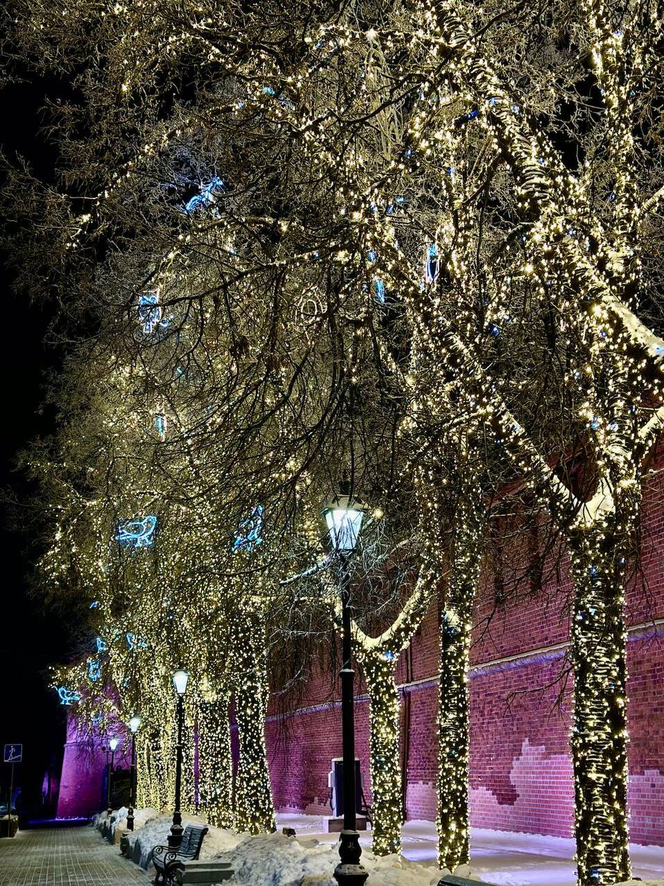 Фото: администрация Нижнего Новгорода Фото: администрация Нижнего Новгорода