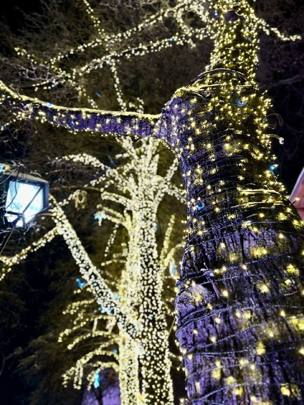 Фото: администрация Нижнего Новгорода Фото: администрация Нижнего Новгорода