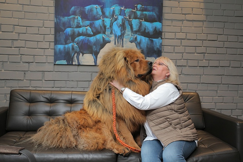 «Самое трудное дело должно быть любимым» 1 «Самое трудное дело должно быть любимым» 1