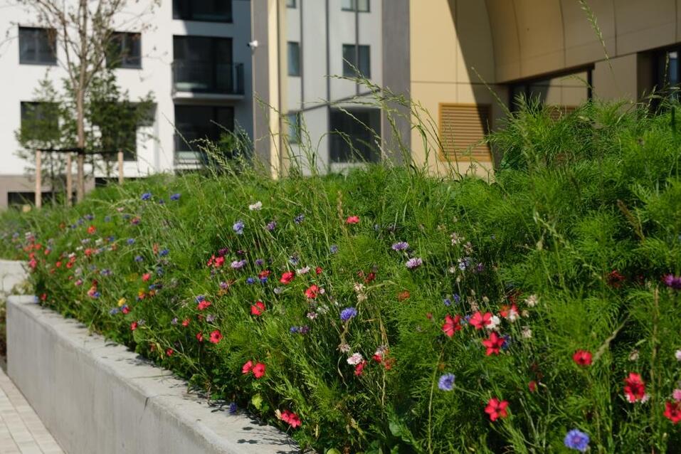 У Мастеров садовых дел нет плохой погоды 3 У Мастеров садовых дел нет плохой погоды 3