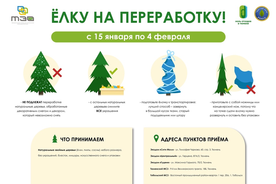 Тюменский мусорный оператор начал сбор новогодних елок для переработки 1 Тюменский мусорный оператор начал сбор новогодних елок для переработки 1