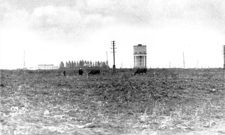 Корона Левобережья. Как пустырь на Маркса спас людей от голода, и чем знаменита Башня
3 Корона Левобережья. Как пустырь на Маркса спас людей от голода, и чем знаменита Башня
3