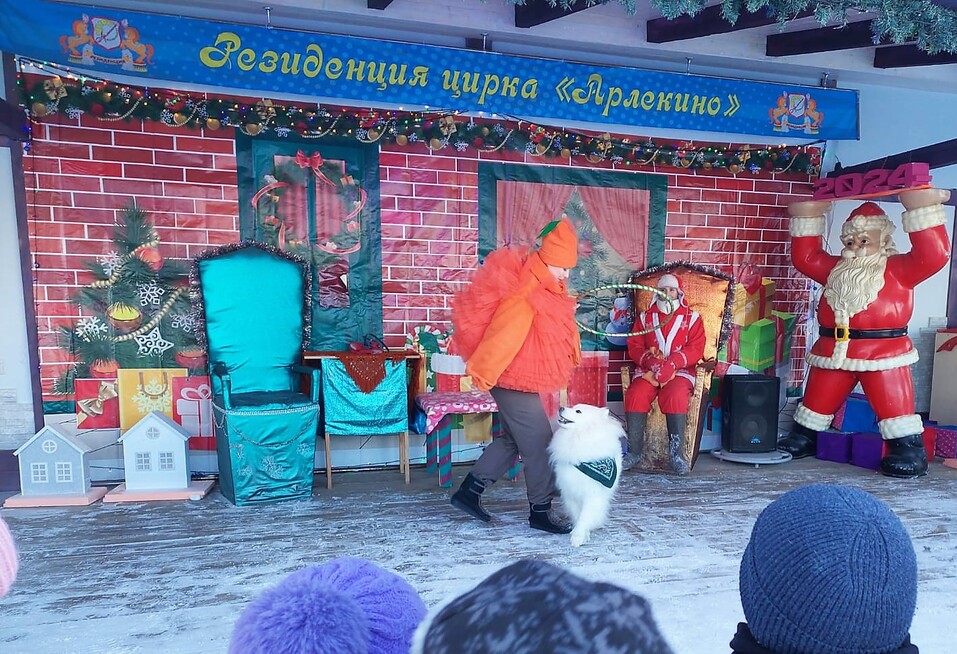 Кто в Екатеринбурге замахнулся построить собственный цирк с манежем? 10 Кто в Екатеринбурге замахнулся построить собственный цирк с манежем? 10