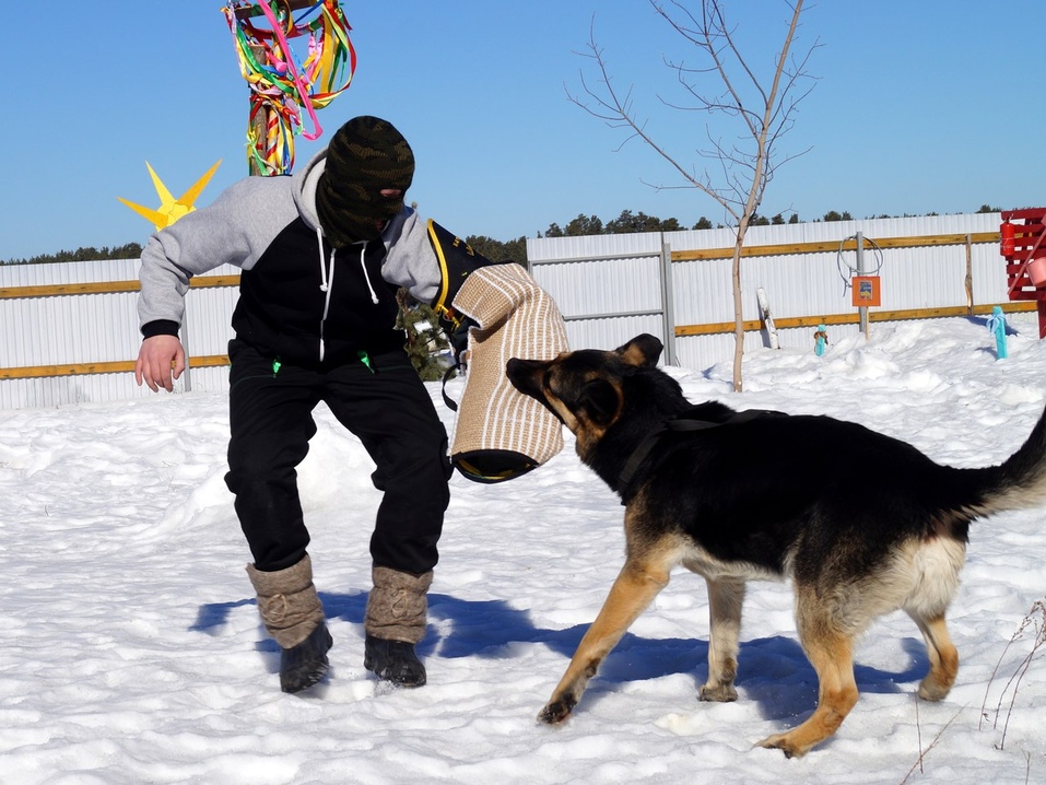 Кто в Екатеринбурге замахнулся построить собственный цирк с манежем? 13 Кто в Екатеринбурге замахнулся построить собственный цирк с манежем? 13