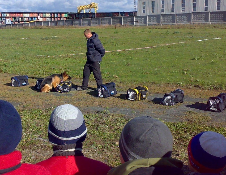 Кто в Екатеринбурге замахнулся построить собственный цирк с манежем? 14 Кто в Екатеринбурге замахнулся построить собственный цирк с манежем? 14