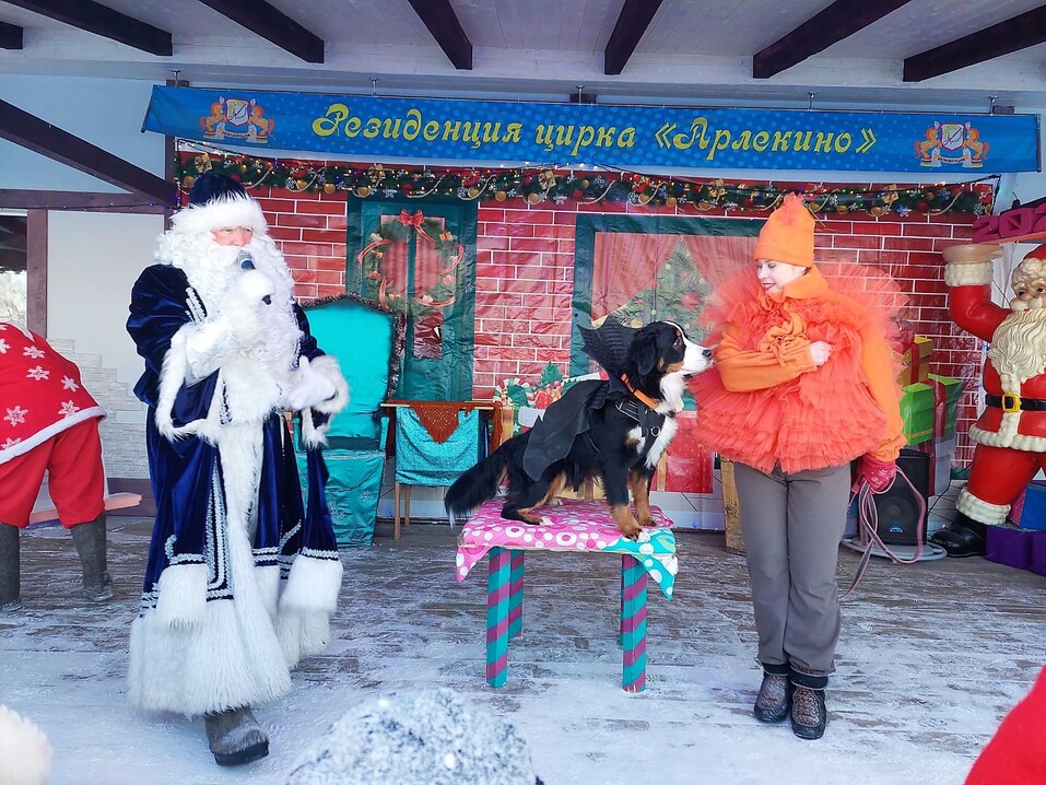 Кто в Екатеринбурге замахнулся построить собственный цирк с манежем? 5 Кто в Екатеринбурге замахнулся построить собственный цирк с манежем? 5