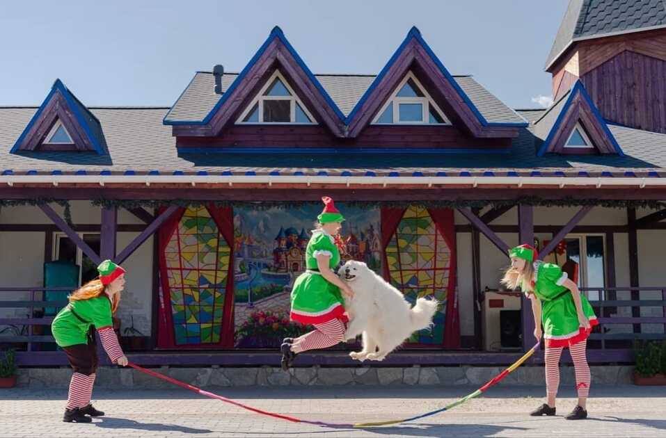 Кто в Екатеринбурге замахнулся построить собственный цирк с манежем? 11 Кто в Екатеринбурге замахнулся построить собственный цирк с манежем? 11