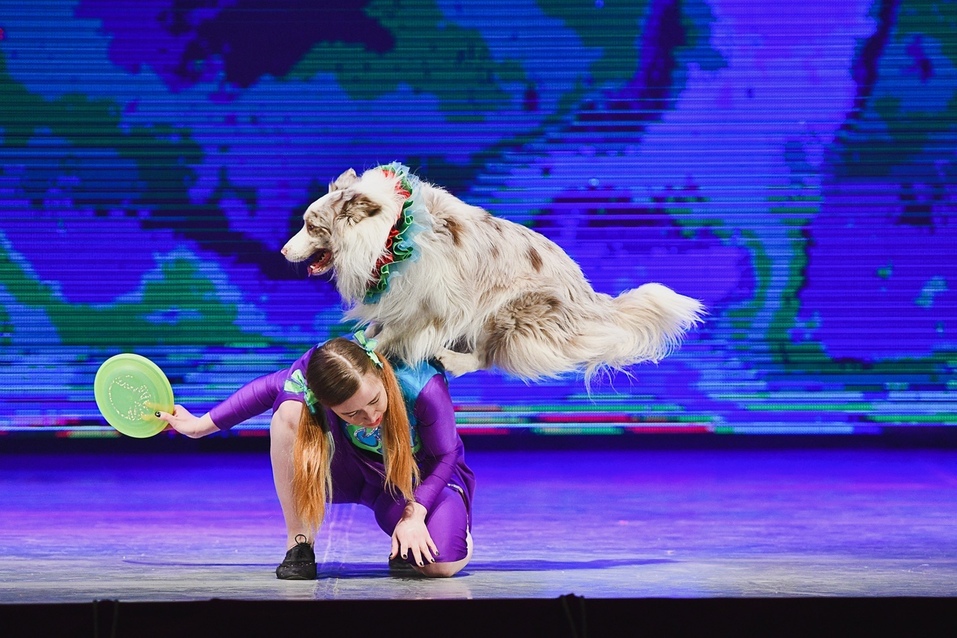 Кто в Екатеринбурге замахнулся построить собственный цирк с манежем? 3 Кто в Екатеринбурге замахнулся построить собственный цирк с манежем? 3