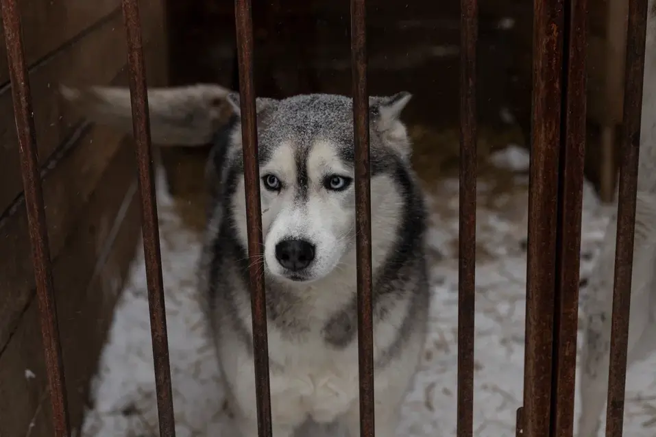 Город высоких смыслов: куда сходить в Красноярске 20...26 января`2024 3 Город высоких смыслов: куда сходить в Красноярске 20...26 января`2024 3