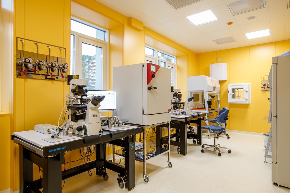 Как сделать мечту о ребенке реальностью? 1 Как сделать мечту о ребенке реальностью? 1