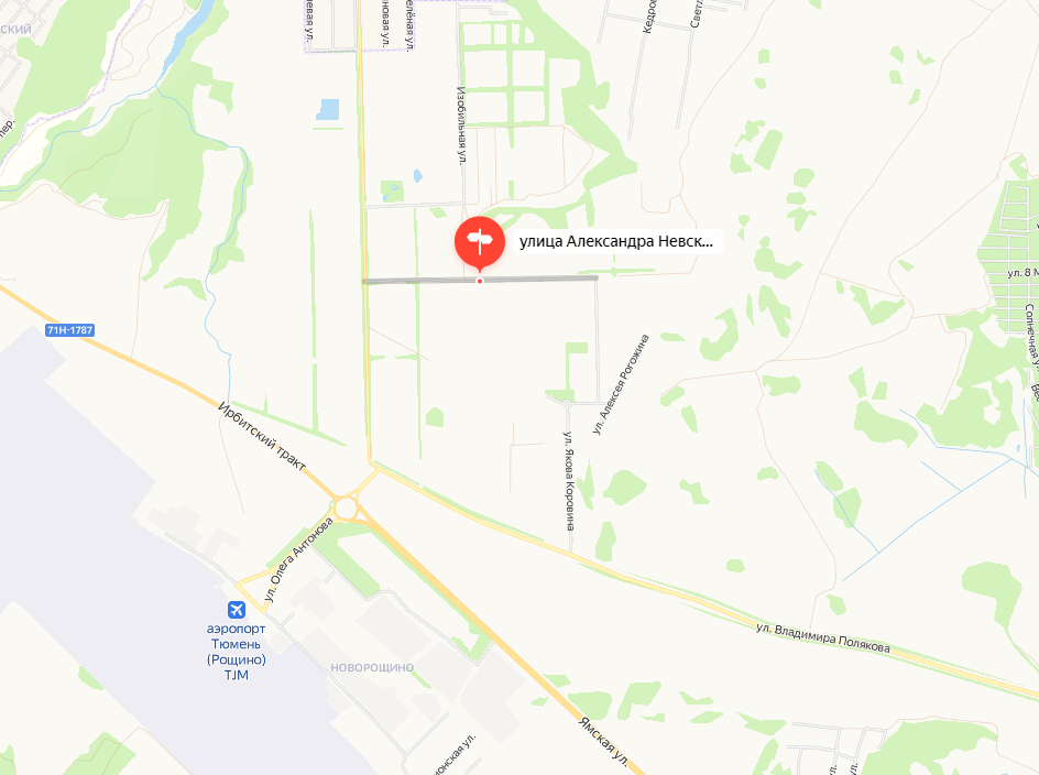 Рядом с тюменским аэропортом построят малоэтажные дома и большую школу 1 Рядом с тюменским аэропортом построят малоэтажные дома и большую школу 1