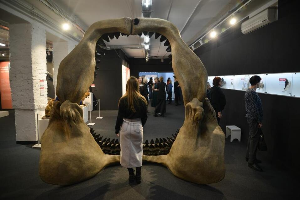 Театральный, живописный и музыкальный февраль ожидает новосибирцев 1 Театральный, живописный и музыкальный февраль ожидает новосибирцев 1