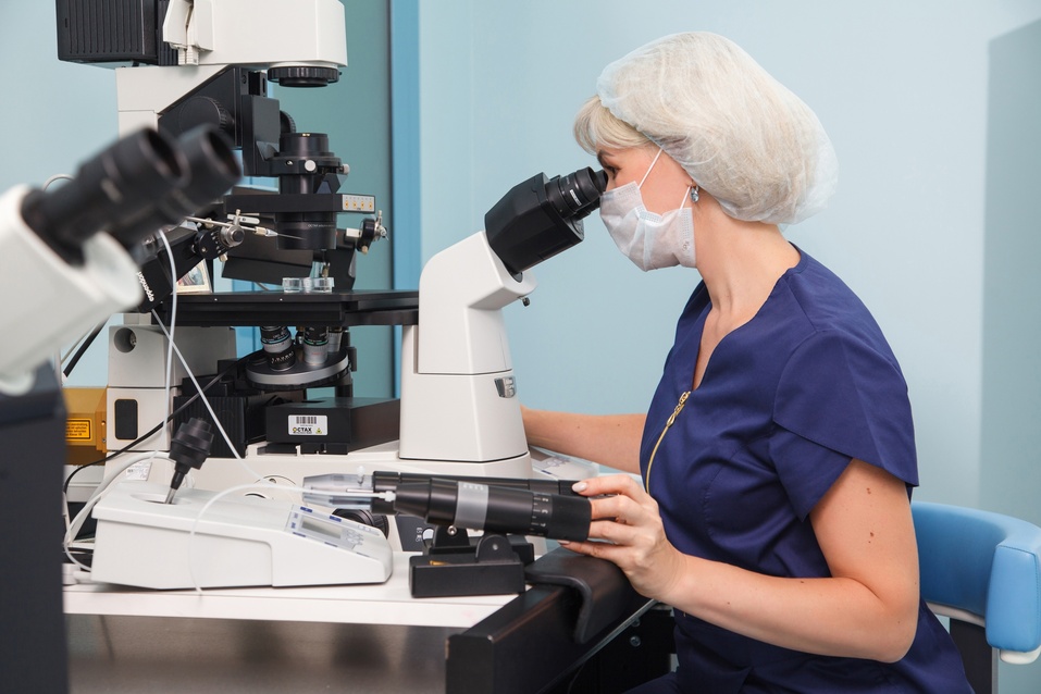 Зажгите искру надежды: лечение бесплодия как ключ к увеличению рождаемости 4 Зажгите искру надежды: лечение бесплодия как ключ к увеличению рождаемости 4