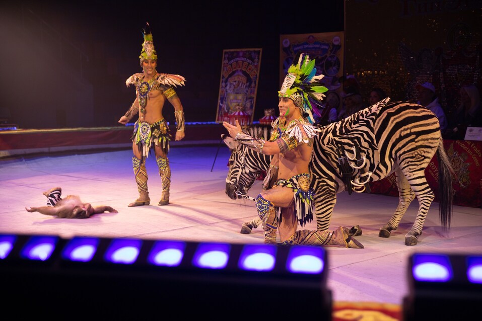 «Это fashion, шик, блеск». Обновленное шоу Гии Эрадзе «Бурлеск» удивит нижегородцев 3 «Это fashion, шик, блеск». Обновленное шоу Гии Эрадзе «Бурлеск» удивит нижегородцев 3