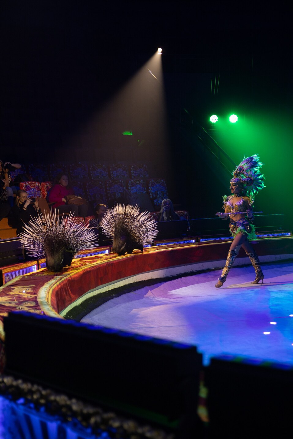 «Это fashion, шик, блеск». Обновленное шоу Гии Эрадзе «Бурлеск» удивит нижегородцев 4 «Это fashion, шик, блеск». Обновленное шоу Гии Эрадзе «Бурлеск» удивит нижегородцев 4