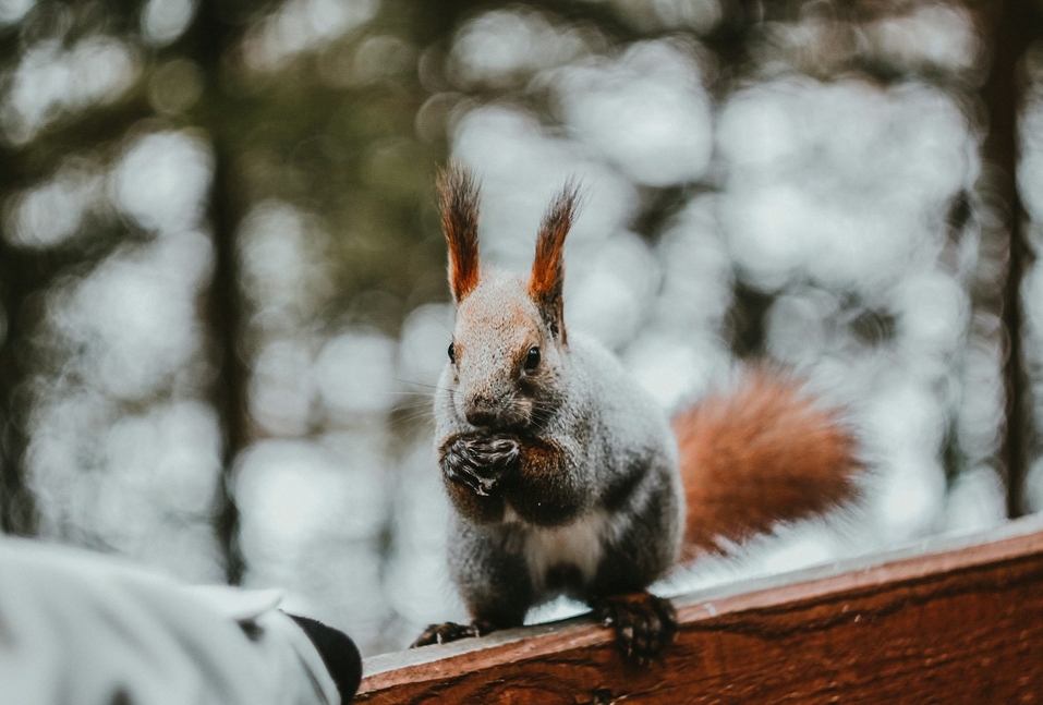 Деньги любят счет: у большинства сверхбогатых россиян естественно-научное образование 3 Деньги любят счет: у большинства сверхбогатых россиян естественно-научное образование 3