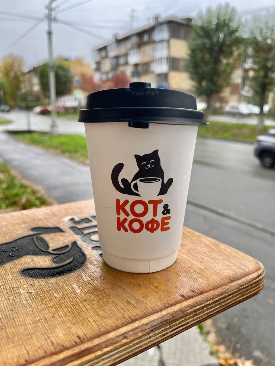 «Укотовлены конкретно». Как Листраткин открыл кофейню с котами без опыта в общепите 4 «Укотовлены конкретно». Как Листраткин открыл кофейню с котами без опыта в общепите 4