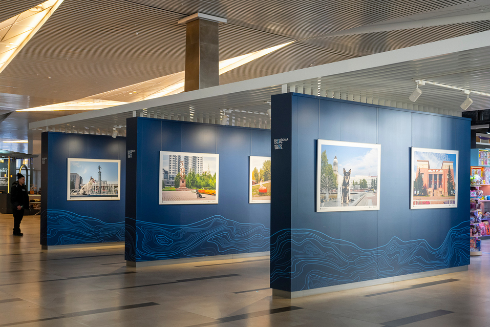 В аэропорт Красноярска вернулись собаки эмоциональной поддержки 1 В аэропорт Красноярска вернулись собаки эмоциональной поддержки 1