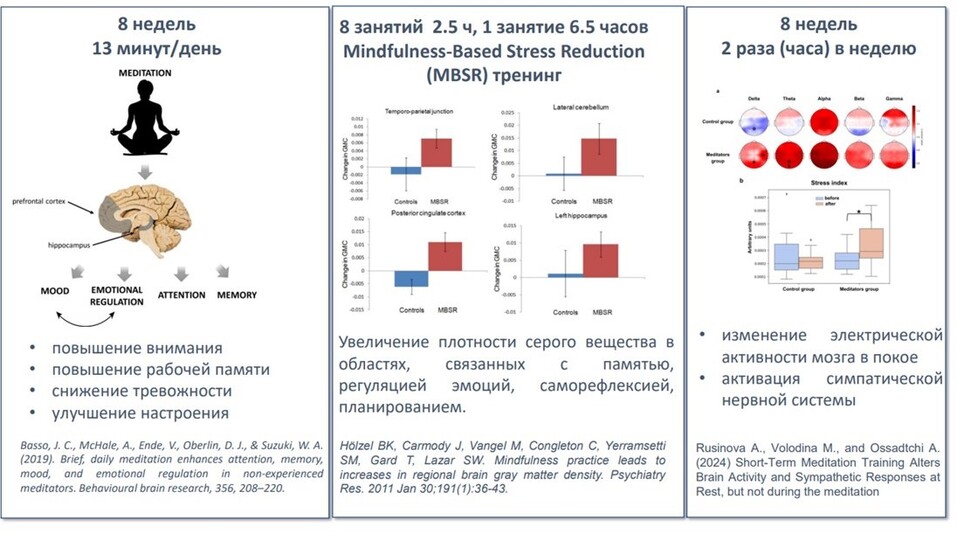 Как лондонские таксисты помогли раскрыть секреты работы мозга — Мария Володина 5 Как лондонские таксисты помогли раскрыть секреты работы мозга — Мария Володина 5