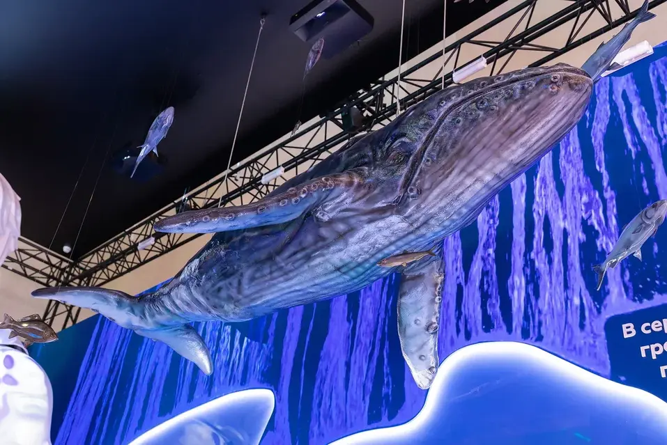 Влюбиться в Красноярск с первого прикосновения: как создавали красноярскую локацию на ВДНХ 1 Влюбиться в Красноярск с первого прикосновения: как создавали красноярскую локацию на ВДНХ 1