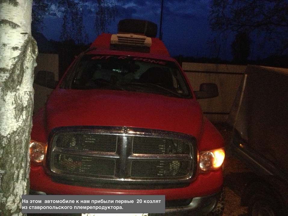 Андрей Болсуновский: Из банка к сохе — за счастьем (бизнес-стори) 3 Андрей Болсуновский: Из банка к сохе — за счастьем (бизнес-стори) 3