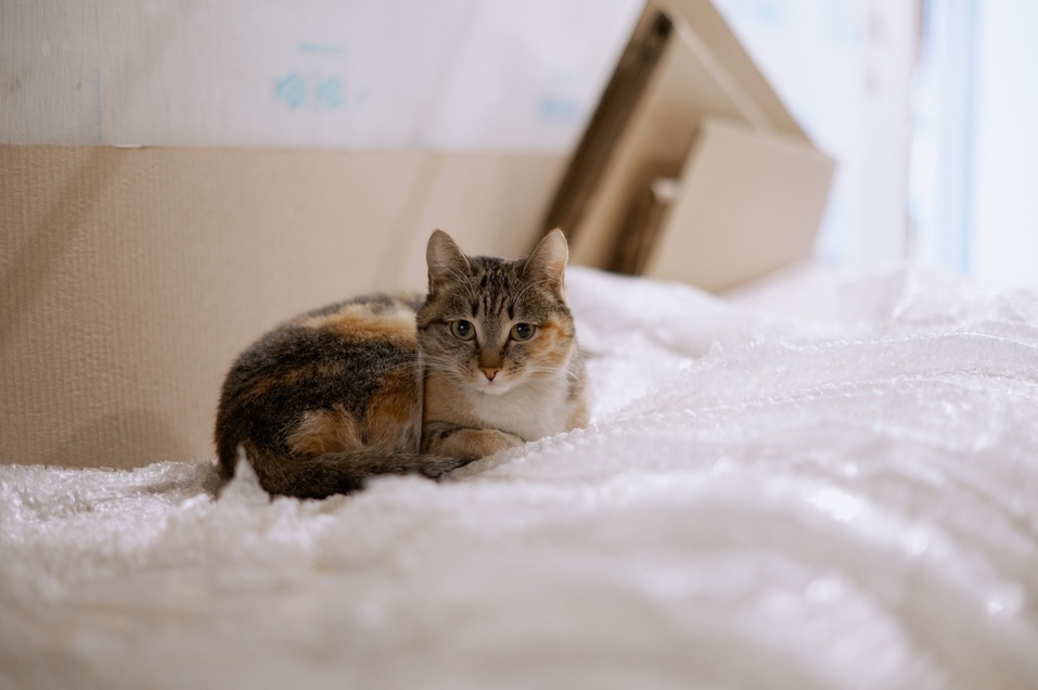 Вечные сюжеты для новых нас: куда сходить в Красноярске 24 февраля...1 марта 2024
6 Вечные сюжеты для новых нас: куда сходить в Красноярске 24 февраля...1 марта 2024
6