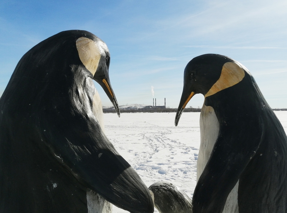 Город со стальным характером и комфортными трамваями: зачем ехать в Магнитогорск? 2 Город со стальным характером и комфортными трамваями: зачем ехать в Магнитогорск? 2