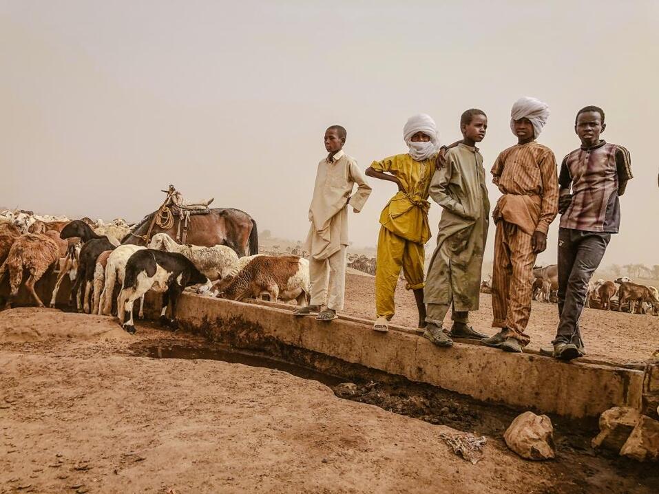 Путешественник Алексей Камерзанов: «Приходится все это, к сожалению, терпеть» 5 Путешественник Алексей Камерзанов: «Приходится все это, к сожалению, терпеть» 5