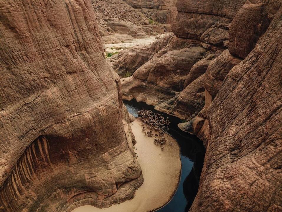 Путешественник Алексей Камерзанов: «Приходится все это, к сожалению, терпеть» 7 Путешественник Алексей Камерзанов: «Приходится все это, к сожалению, терпеть» 7