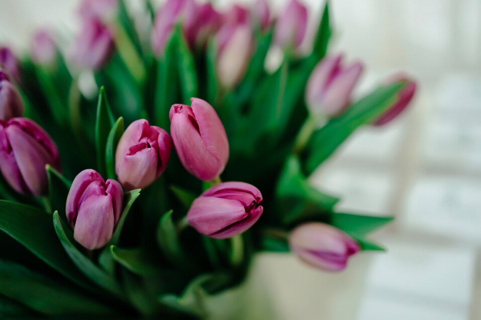 Бизнес-девичник-2024. ФОТООТЧЕТ 365 Бизнес-девичник-2024. ФОТООТЧЕТ 365