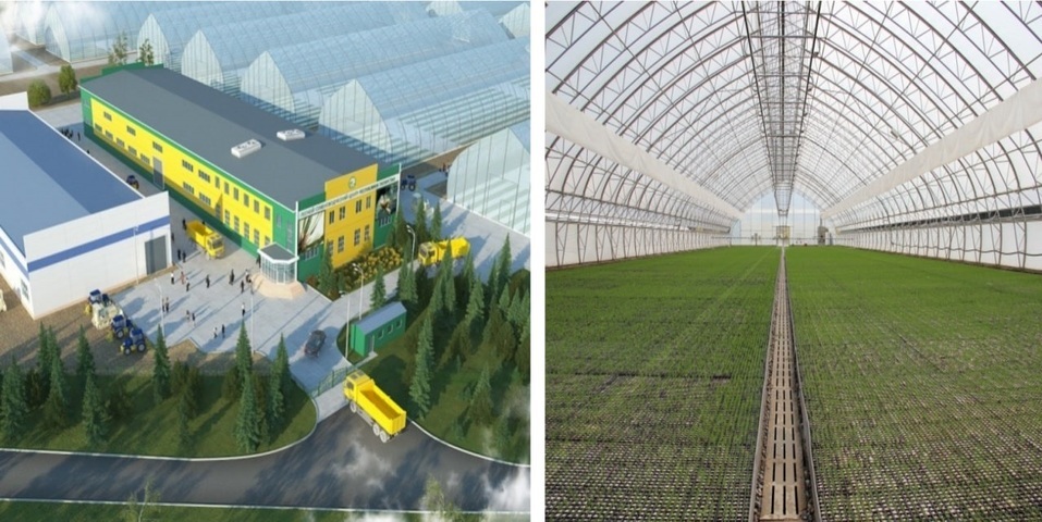 Огромную теплицу для саженцев деревьев откроют под Тюменью в июне 2024 года 1 Огромную теплицу для саженцев деревьев откроют под Тюменью в июне 2024 года 1