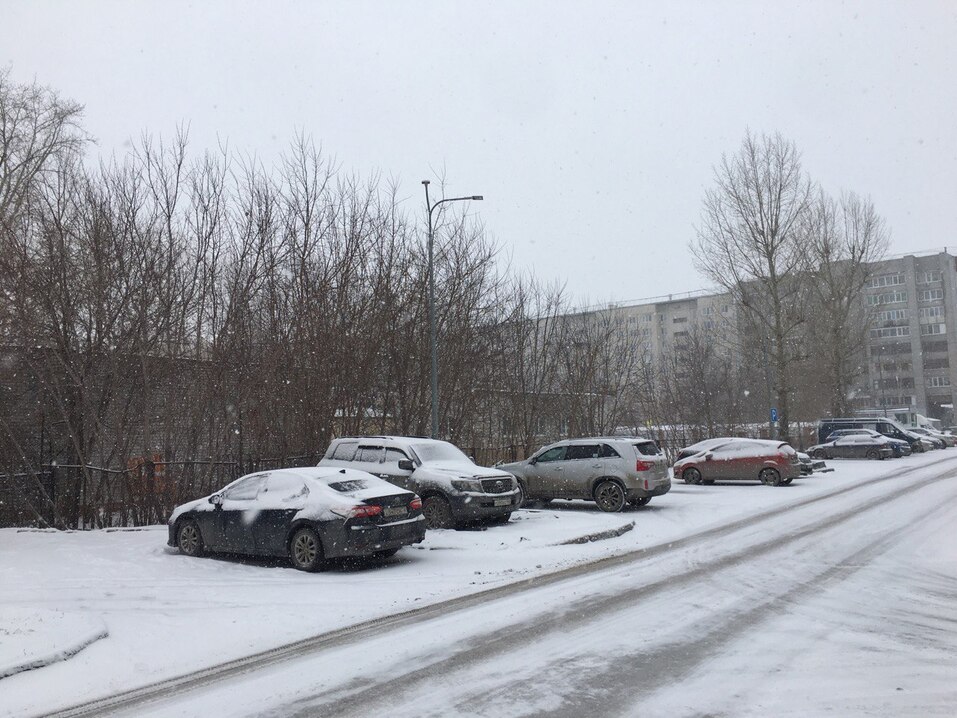 Толщина сугробов в Тюмени после снегопада достигла 25 сантиметров 4 Толщина сугробов в Тюмени после снегопада достигла 25 сантиметров 4