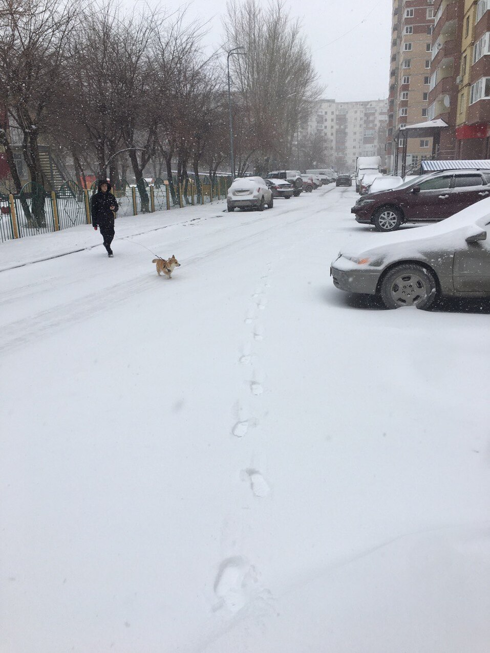 Толщина сугробов в Тюмени после снегопада достигла 25 сантиметров 5 Толщина сугробов в Тюмени после снегопада достигла 25 сантиметров 5