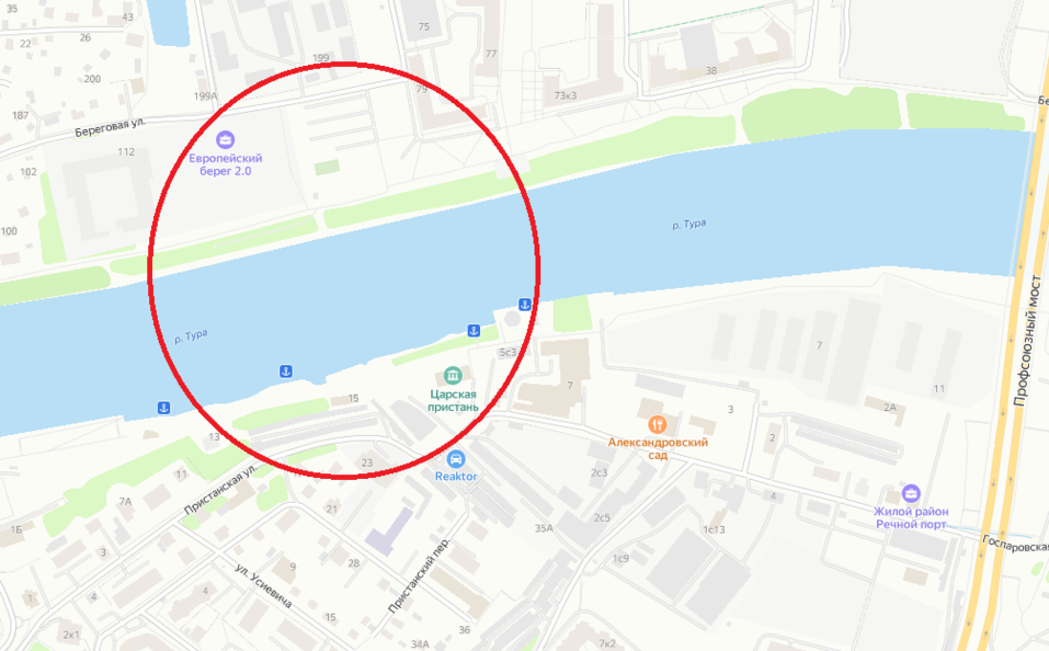 Тюменские девелоперы предлагают построить велопешеходный мост через Туру 1 Тюменские девелоперы предлагают построить велопешеходный мост через Туру 1