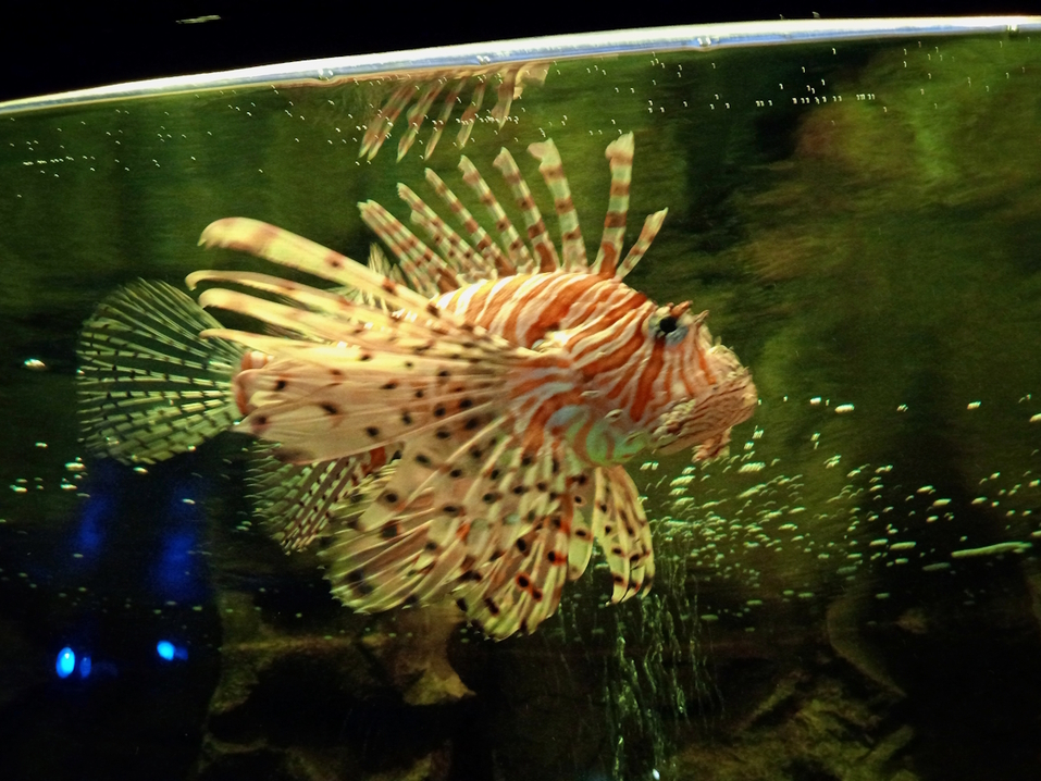 Космос по соседству: путешествие в Астану 9 Космос по соседству: путешествие в Астану 9