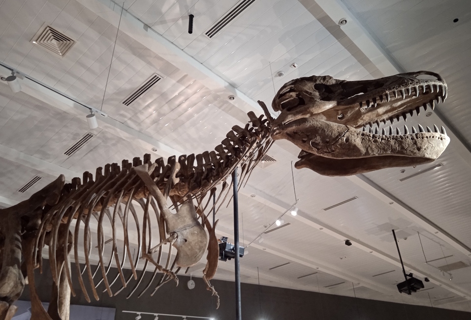 Космос по соседству: путешествие в Астану 8 Космос по соседству: путешествие в Астану 8