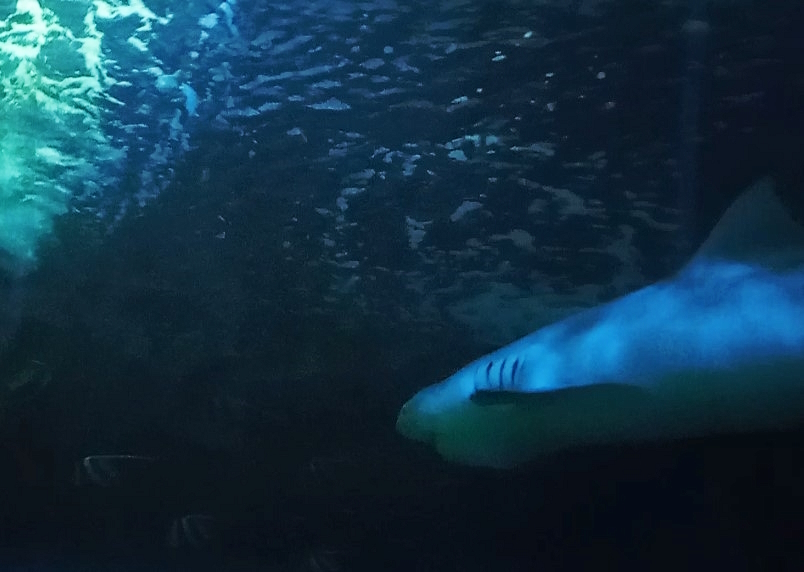 Космос по соседству: путешествие в Астану 10 Космос по соседству: путешествие в Астану 10