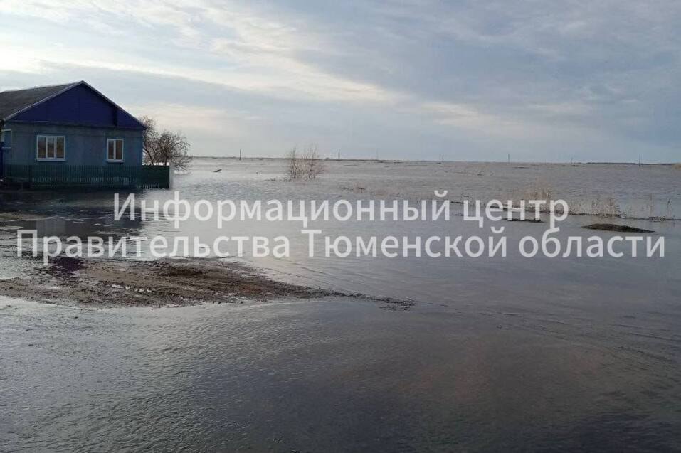 Наливная дамба не сможет защитить трассу Тюмень — Омск от половодья 1 Наливная дамба не сможет защитить трассу Тюмень — Омск от половодья 1