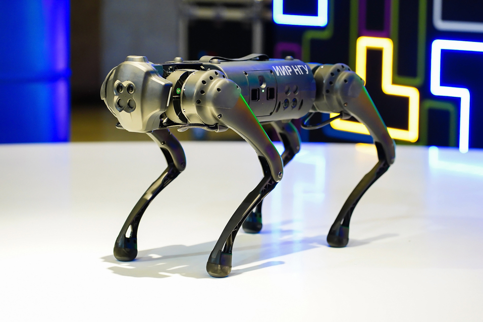 Александр Люлько, ЦИИ НГУ: «Город будущего невозможно представить без роботов-помощников» 3 Александр Люлько, ЦИИ НГУ: «Город будущего невозможно представить без роботов-помощников» 3