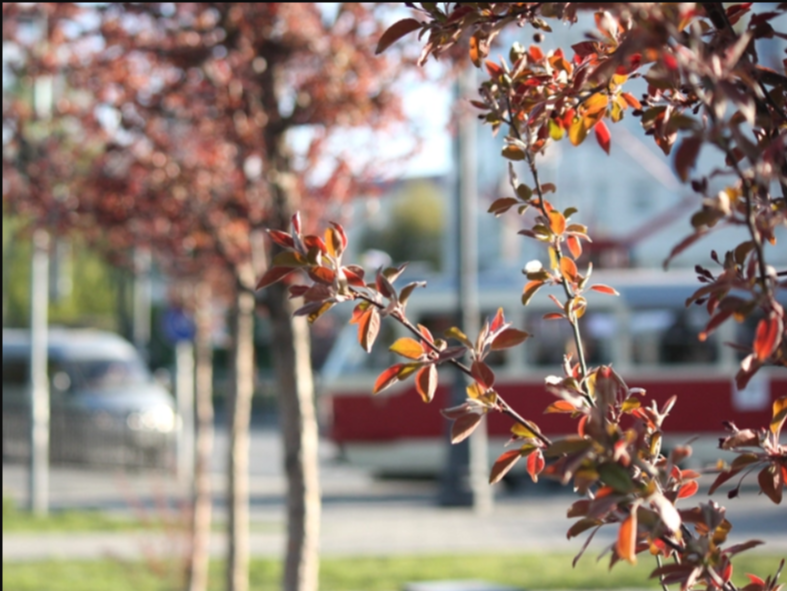 «Тенденция будет только к увеличению». Цены на новостройки в городе за год прибавили 20% 2 «Тенденция будет только к увеличению». Цены на новостройки в городе за год прибавили 20% 2
